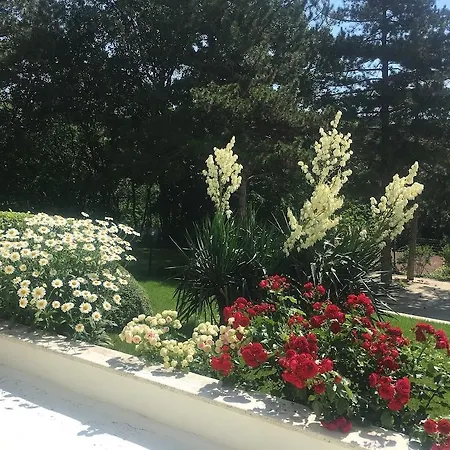 Zora Hotell 3*
