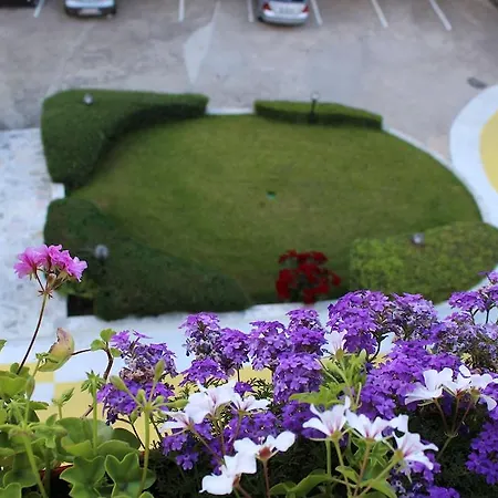 Hotell Zora 3*