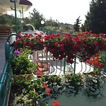 Otel Zora Sunny Beach