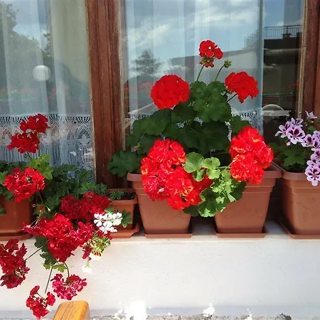 Zora فندق ساني بيتش