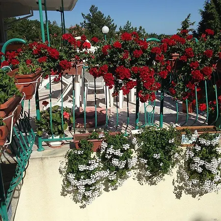 Zora Sunny Beach