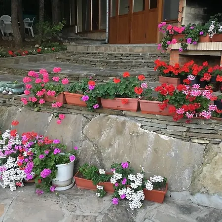Zora Hotel