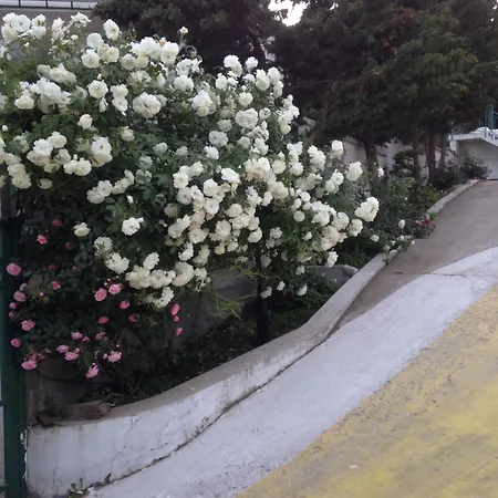 Otel Zora Sunny Beach