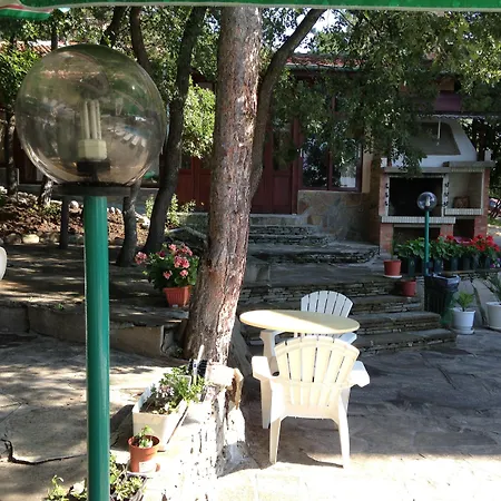 Zora Hotel Sunny Beach