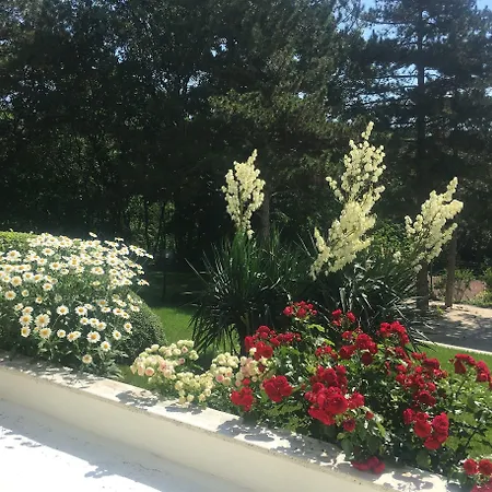 Hotel Zora Słoneczny Brzeg