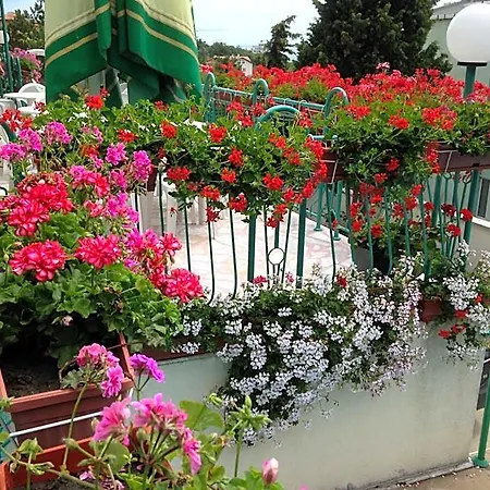 Zora Hotel Sunny Beach