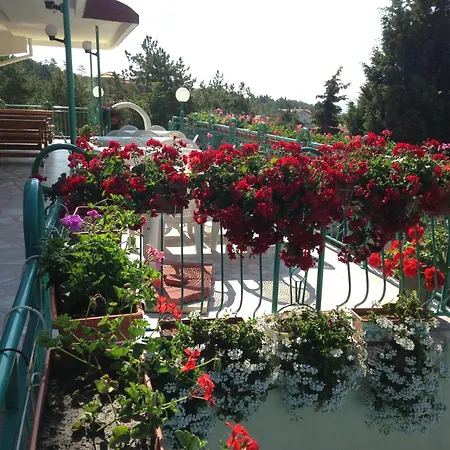 ホテル Zora サニービーチ