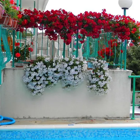 Zora Sunny Beach