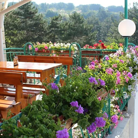 Zora 3* Sunny Beach
