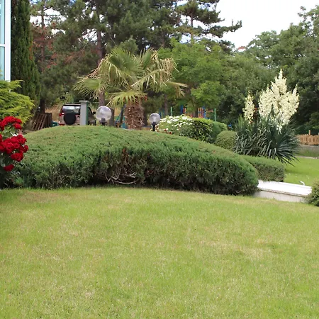 Отель Zora Солнечный берег