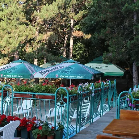 Отель Zora Солнечный берег